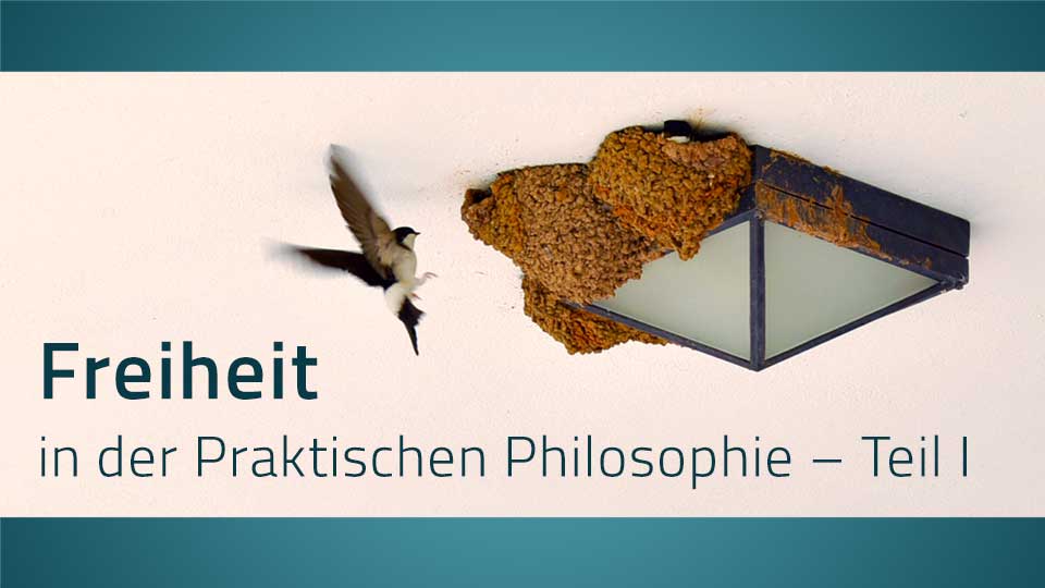 Vogel fliegt in sein Nest, dazu der Schriftzug: Freiheit in der Praktischen Philosophie – Teil I