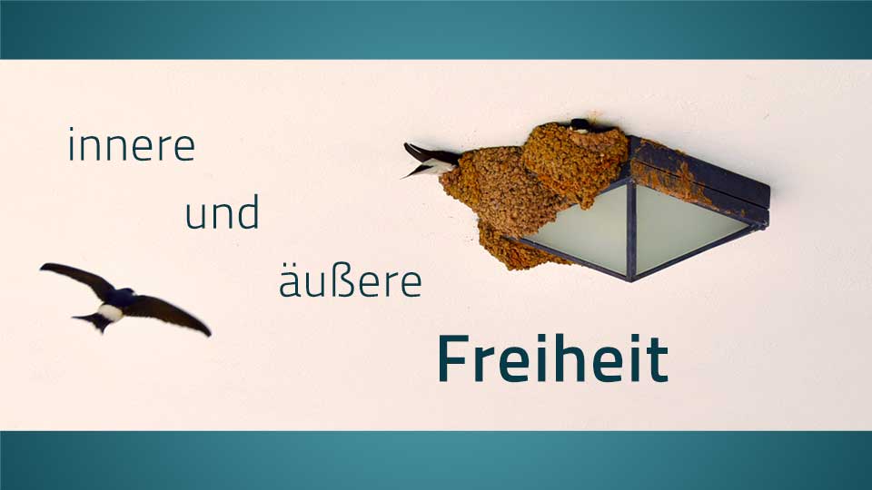 Eine Schwalbe fliegt in ihr Nest an einer Lampe, dazu der Text: äußere Freiheit und innere Freiheit